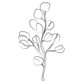 Leaf - Sukena Shah  - Womens Sophie Long Sleeve Tee Design