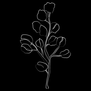 Leaf - Sukena Shah - Womens Sophie Long Sleeve Tee Design